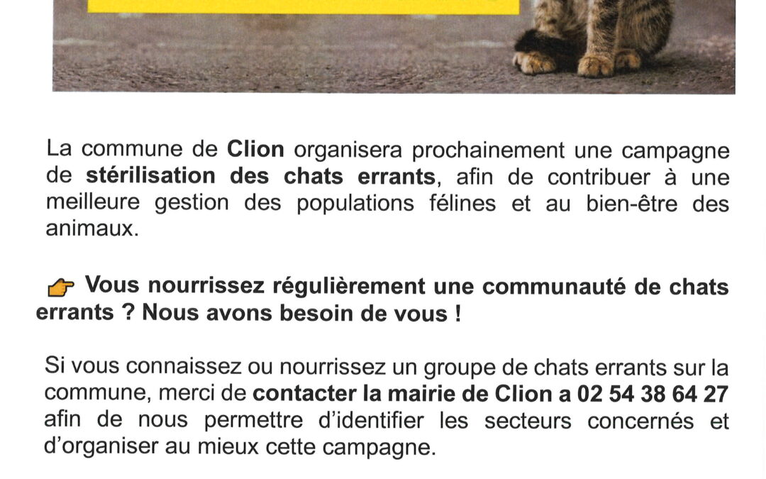 Stérilisation des chats errants